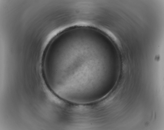 X0000091971327200709061323