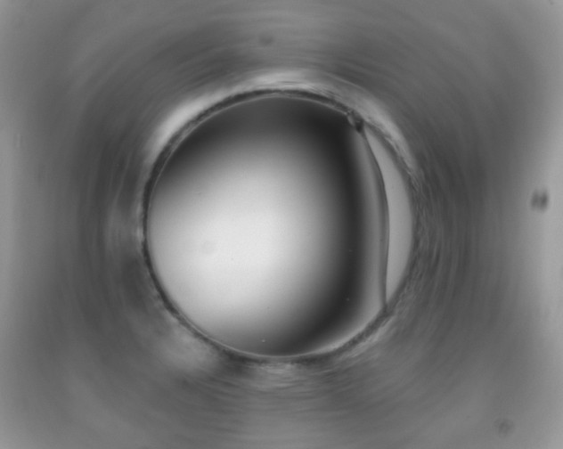 X0000091971328200709061323