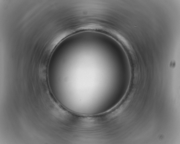 X0000091971329200709061323