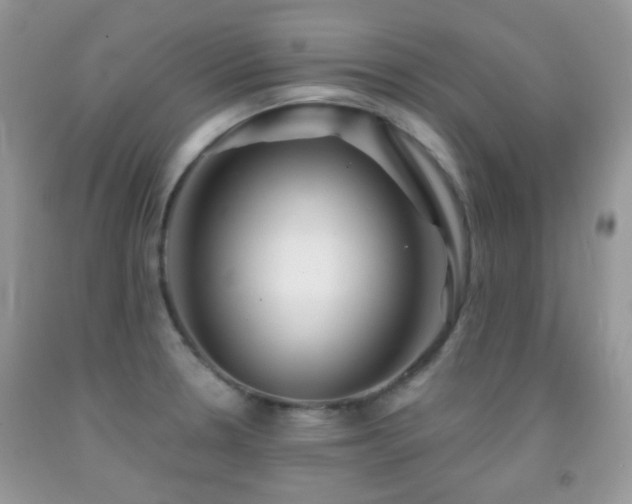 X0000091971330200709061323