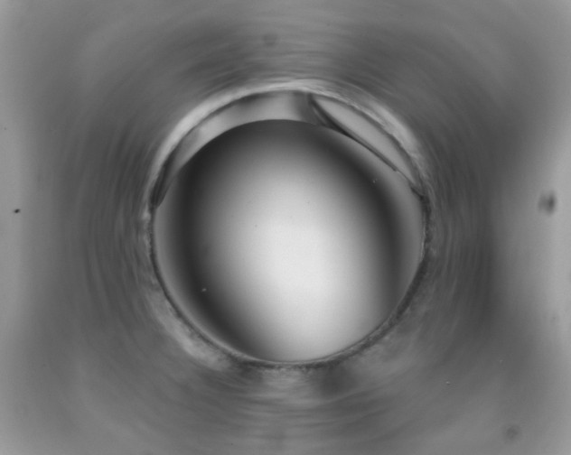 X0000091971332200709061323