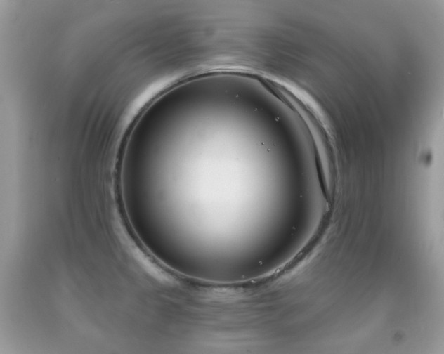 X0000091971333200709061323