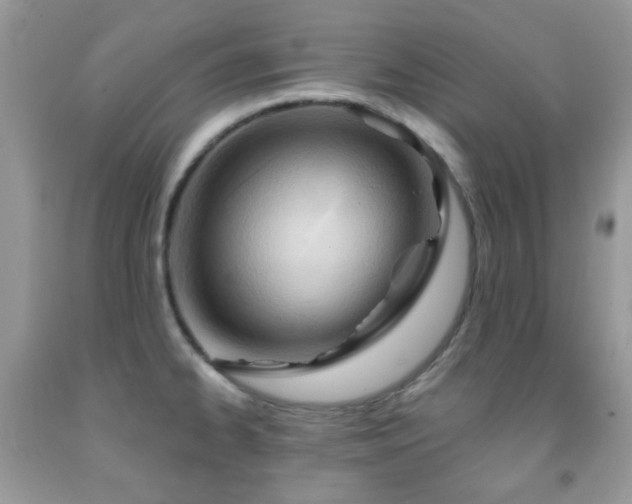 X0000091971334200709061323