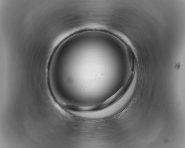X0000091971335200709061323