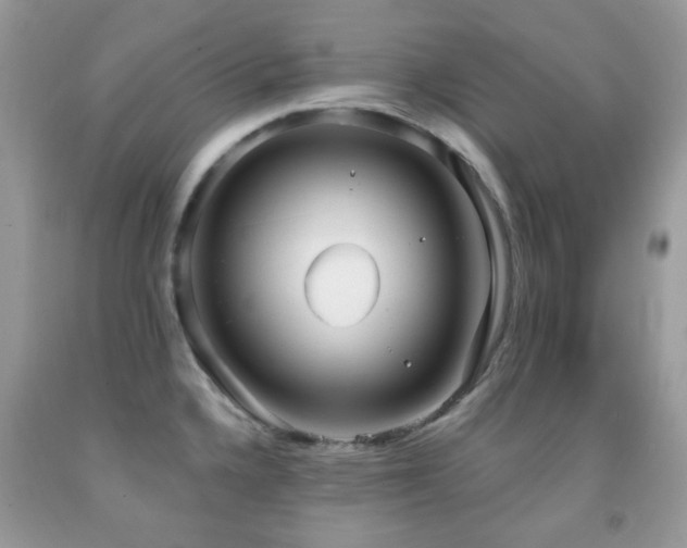 X0000091971336200709061323