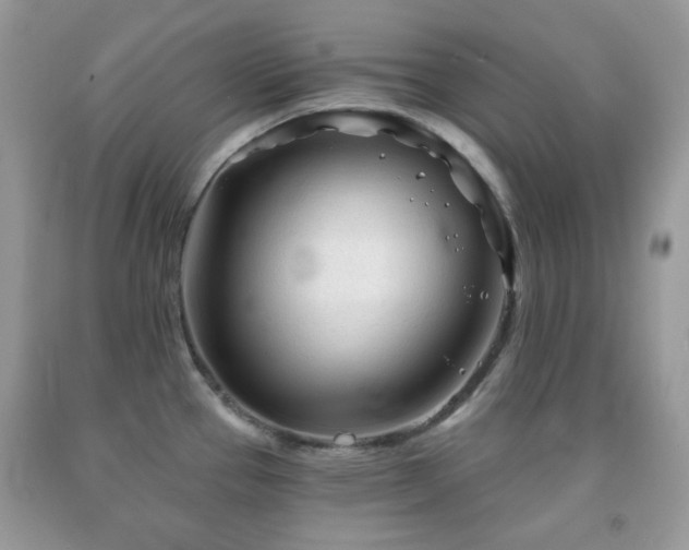 X0000091971337200709061323