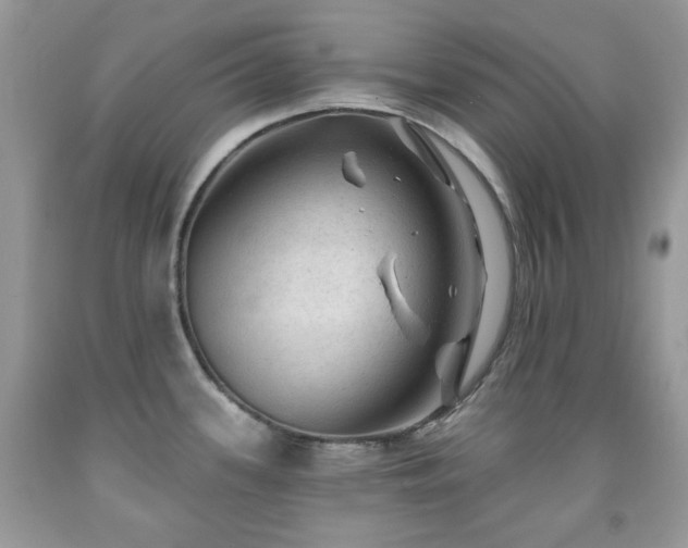 X0000091971339200709061323