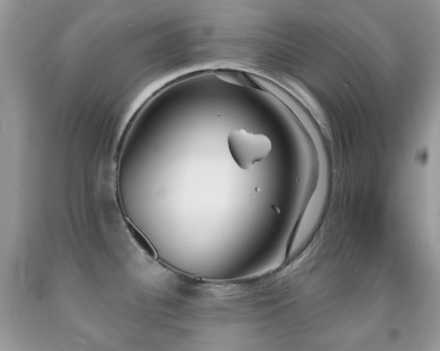 X0000091971340200709061323
