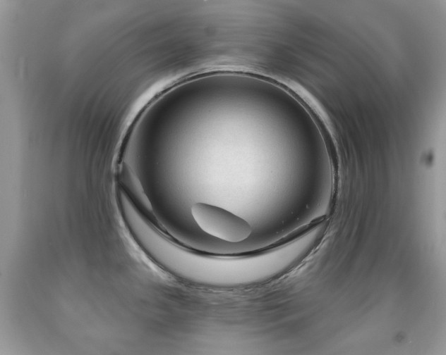 X0000091971341200709061323