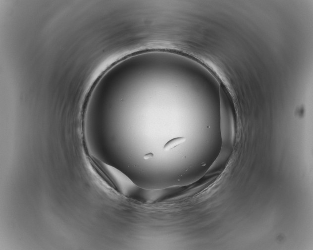 X0000091971342200709061323