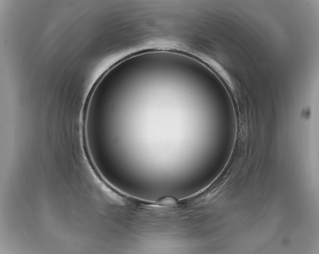 X0000091971343200709061323