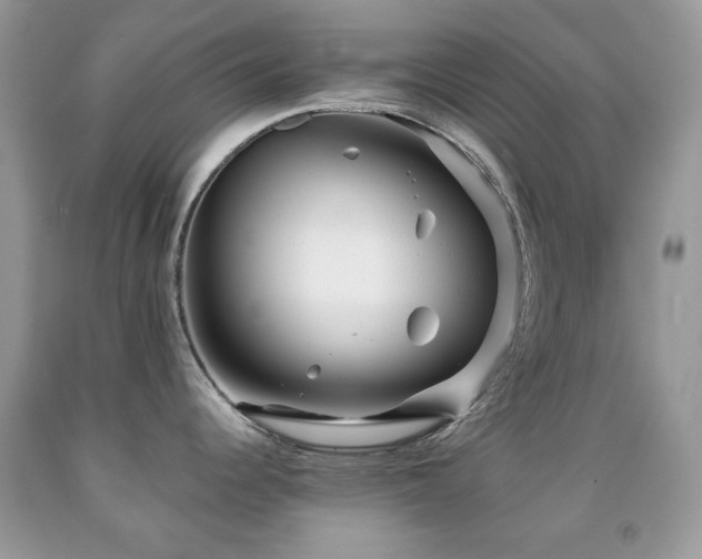 X0000091971344200709061323