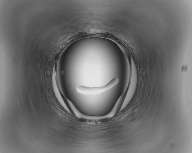 X0000091971348200709061322