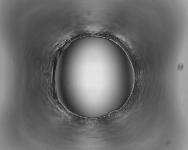 X0000091971349200709061322