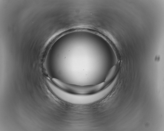 X0000091971356200709061322