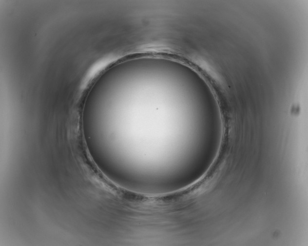 X0000091971358200709061322