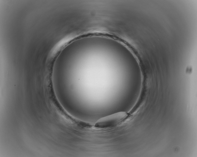 X0000091971359200709061322