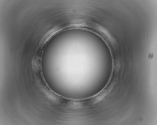 X0000091971361200709061322