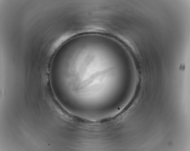 X0000091971363200709061322