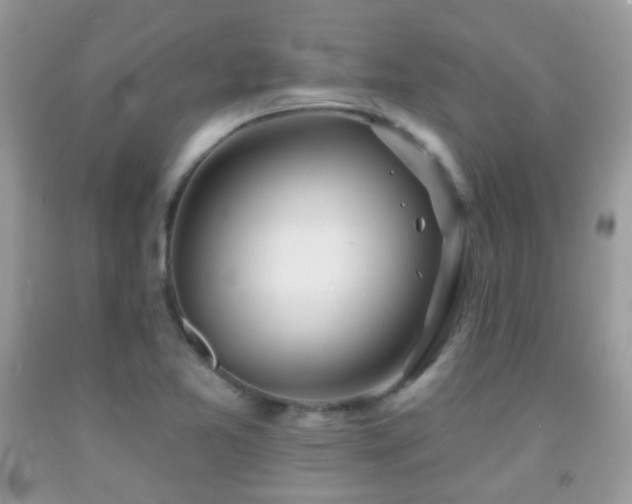 X0000091971365200709061322