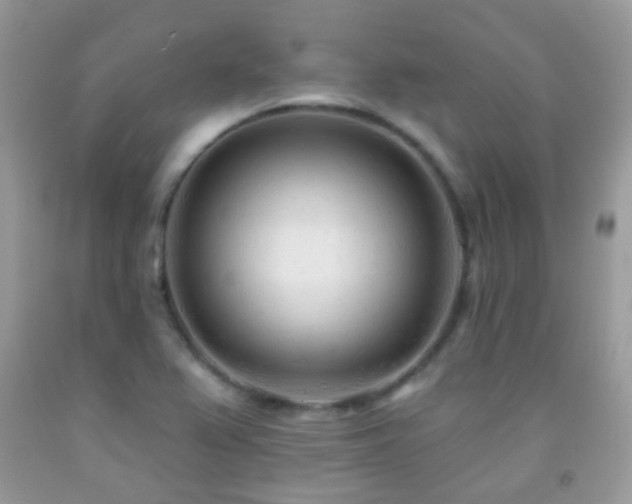 X0000091971367200709061322
