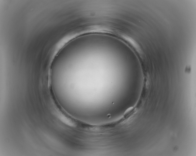 X0000091971371200709061322