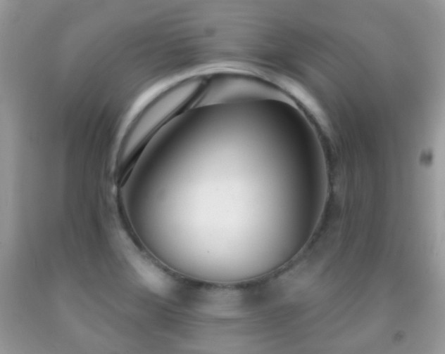 X0000091971372200709061322