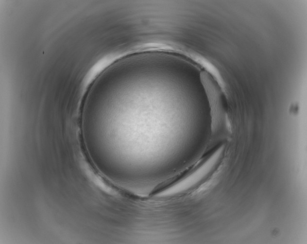 X0000091971373200709061322