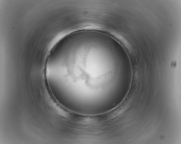 X0000091971375200709061322