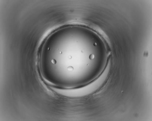 X0000091971376200709061322