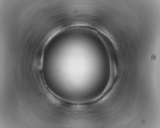 X0000091971377200709061322