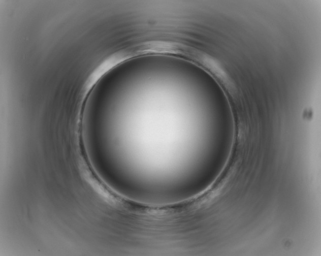 X0000091971378200709061322