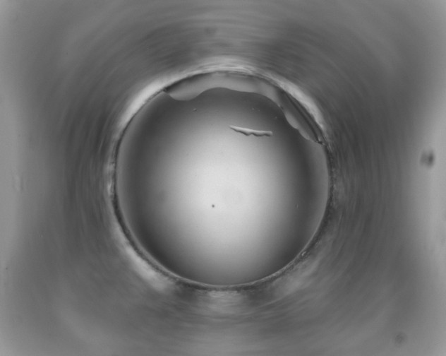 X0000091971383200709061322
