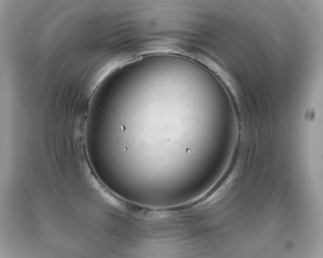 X0000091971385200709061322