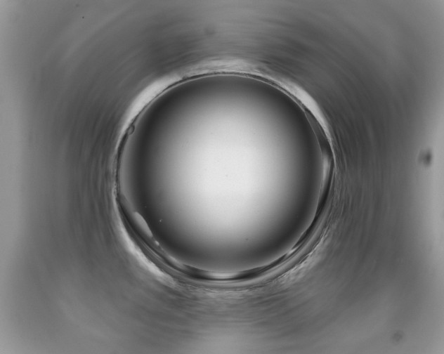 X0000091971389200709061322