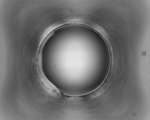 X0000091971392200709061322