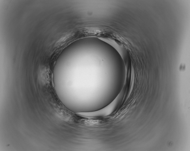 X0000091971394200709061321