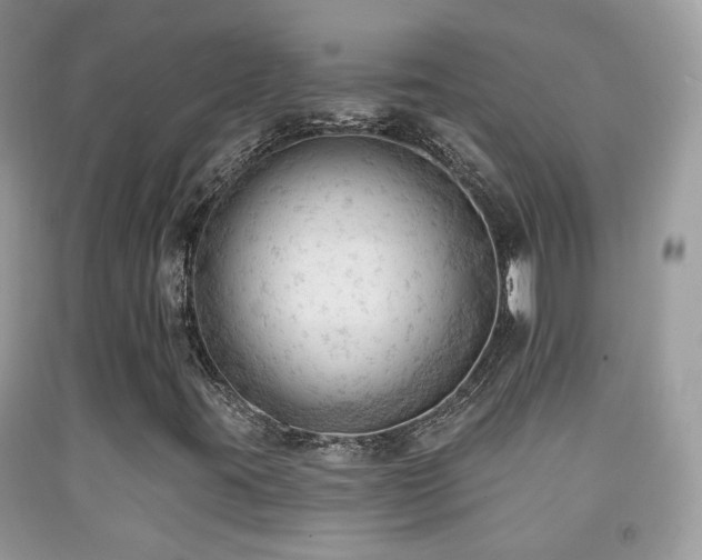 X0000091971395200709061321