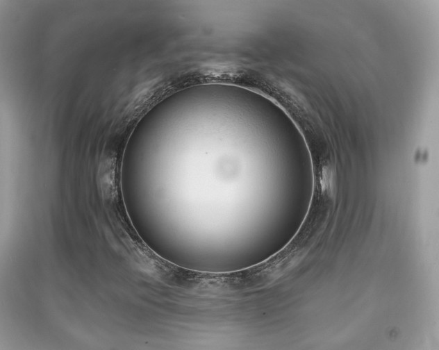 X0000091971396200709061321