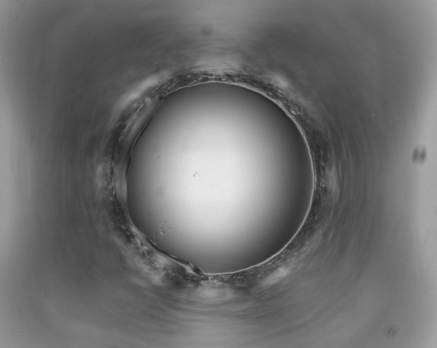 X0000091971398200709061321