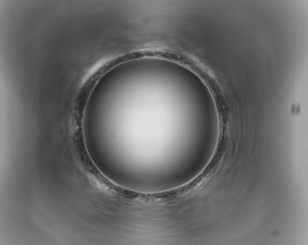 X0000091971400200709061321