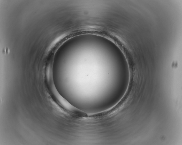 X0000091971402200709061321