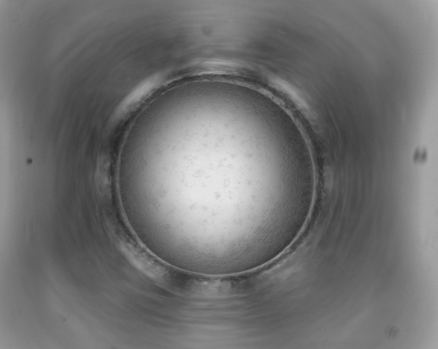 X0000091971403200709061321