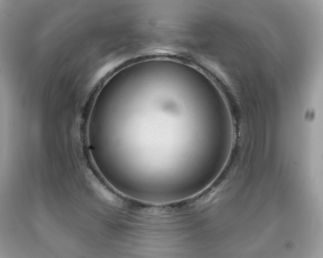 X0000091971404200709061321