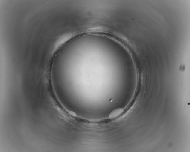 X0000091971405200709061321