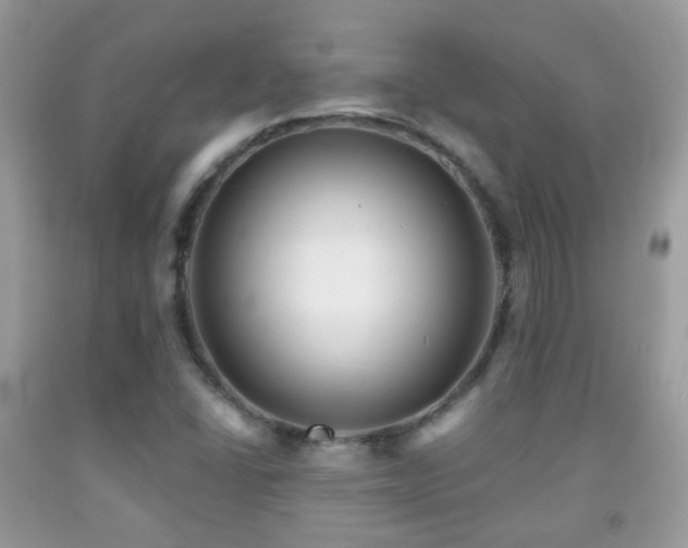 X0000091971406200709061321