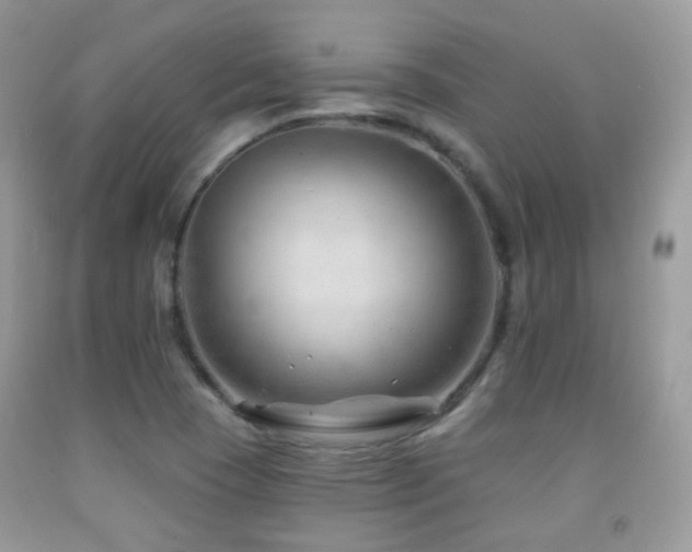 X0000091971409200709061321