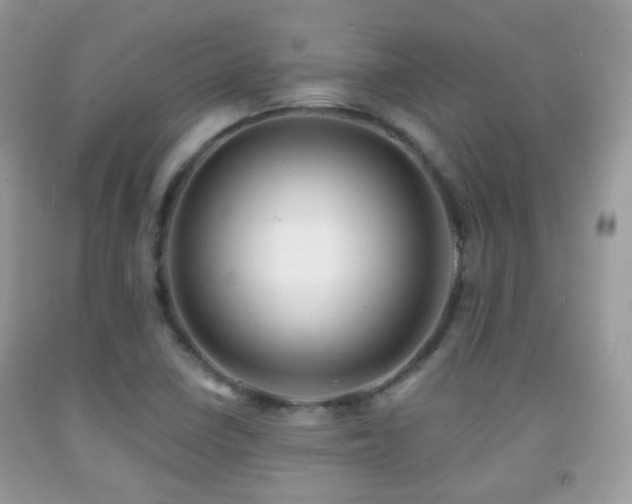 X0000091971410200709061321