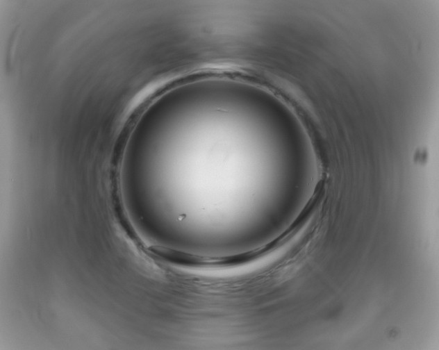 X0000091971412200709061321