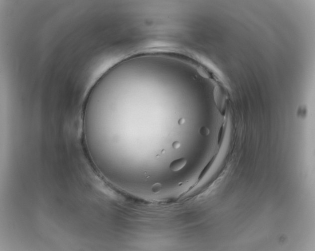 X0000091971413200709061321